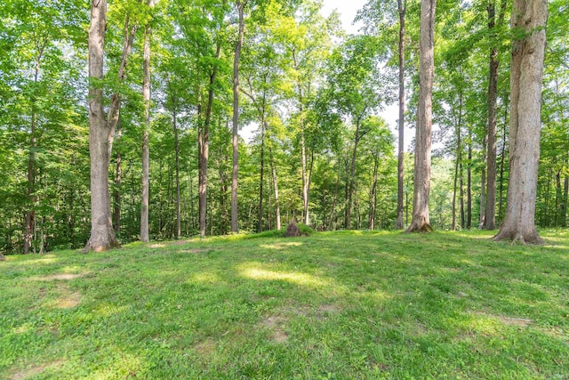 5549 S Tammany Ct, Bloomington, IN 47401 - view of green lawn