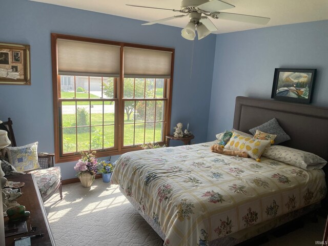 12344 Diamond Dr, Plymouth, IN 46563 - bedroom with carpet floors and ceiling fan