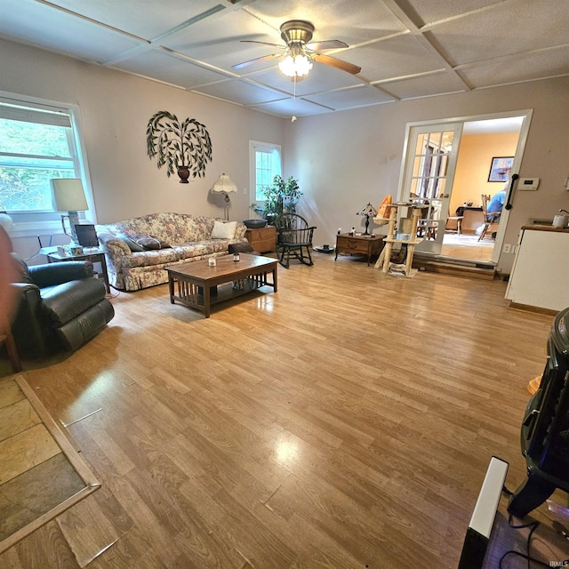 989 S Cataract Rd, Spencer, IN 47460 - living room featuring wood finished floors, a ceiling fan, and coffered ceiling