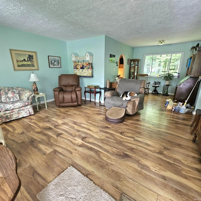 989 S Cataract Rd, Spencer, IN 47460 - living room featuring wood finished floors, arched walkways, and a textured ceiling