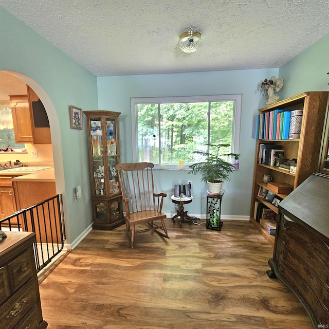 989 S Cataract Rd, Spencer, IN 47460 - living area with arched walkways, wood finished floors, and a textured ceiling