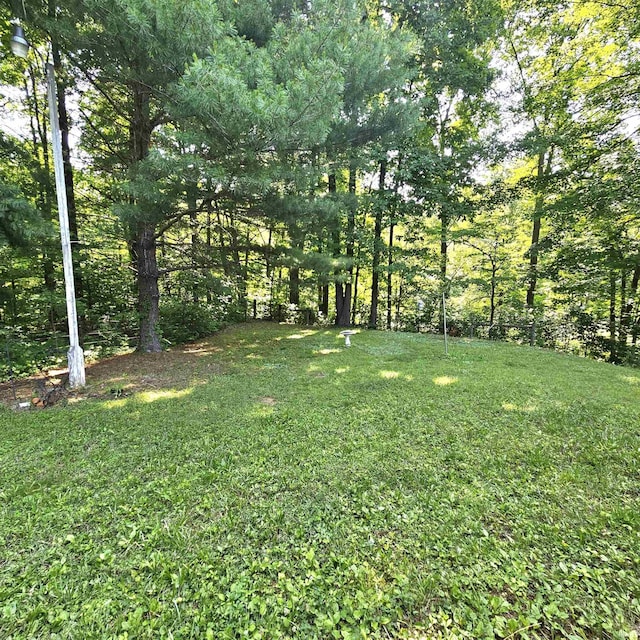 989 S Cataract Rd, Spencer, IN 47460 - view of green lawn