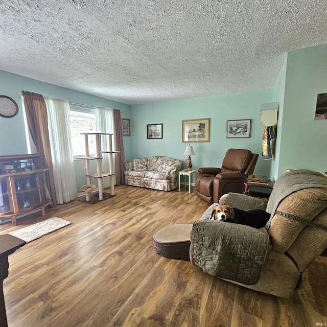 989 S Cataract Rd, Spencer, IN 47460 - living room featuring a textured ceiling, wood finished floors, and a wood stove