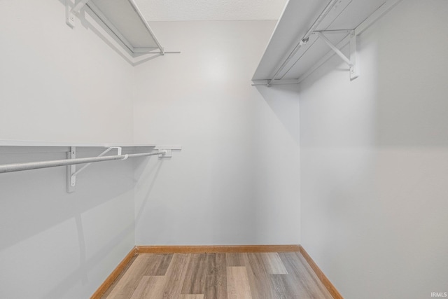 2319 Autumn Lake Pl, Fort Wayne, IN 46818 - walk in closet featuring light wood-type flooring