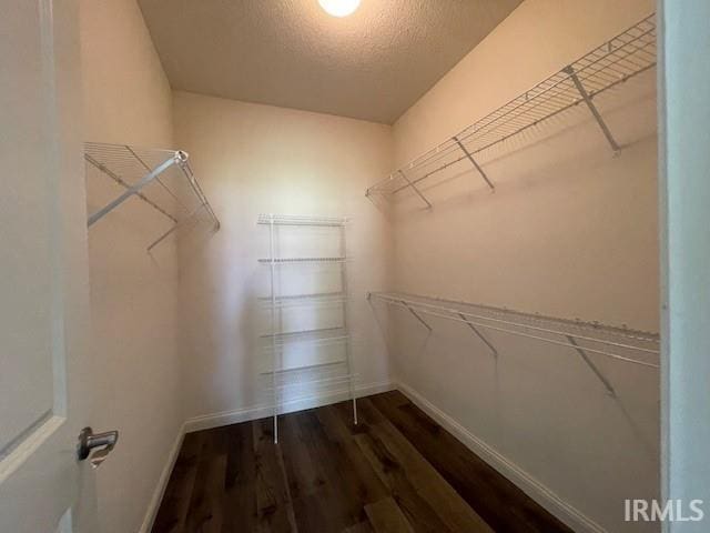 3239 S Parnel Ct, Bloomington, IN 47403 - walk in closet with dark wood-style floors