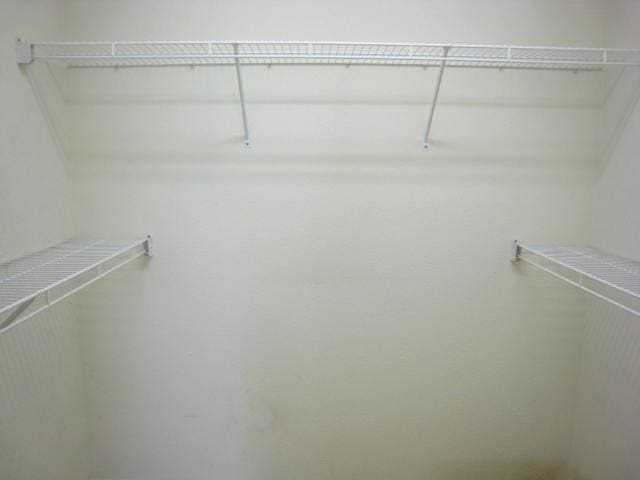 52289 Wembley Dr, South Bend, IN 46637 - view of walk in closet