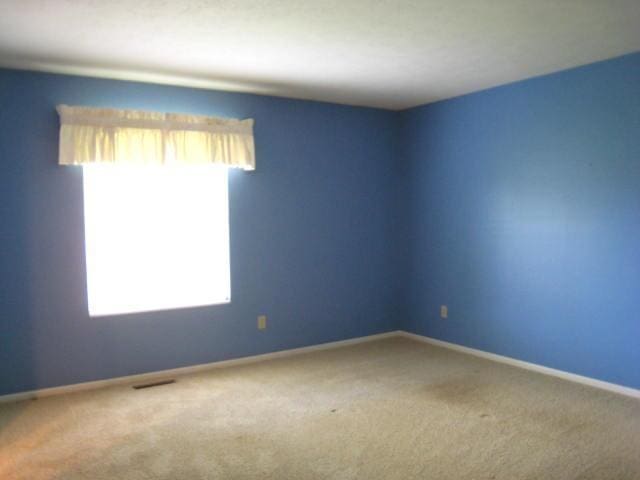 52289 Wembley Dr, South Bend, IN 46637 - spare room with healthy amount of natural light and carpet