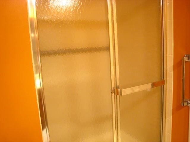 52289 Wembley Dr, South Bend, IN 46637 - bathroom view of a shower with door