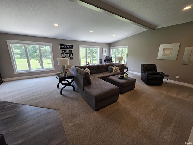 1051 Morningstar Rd, Auburn, IN 46706 - carpeted living room with recessed lighting and a textured ceiling