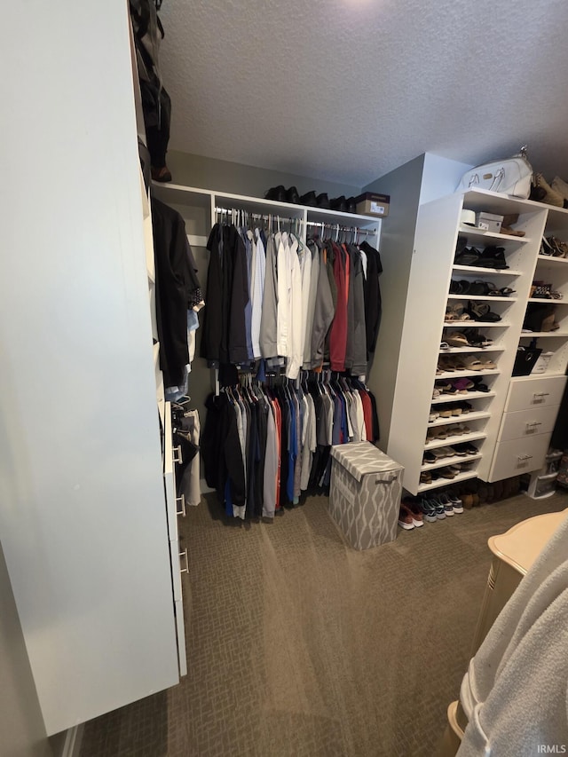 1051 Morningstar Rd, Auburn, IN 46706 - walk in closet with carpet flooring
