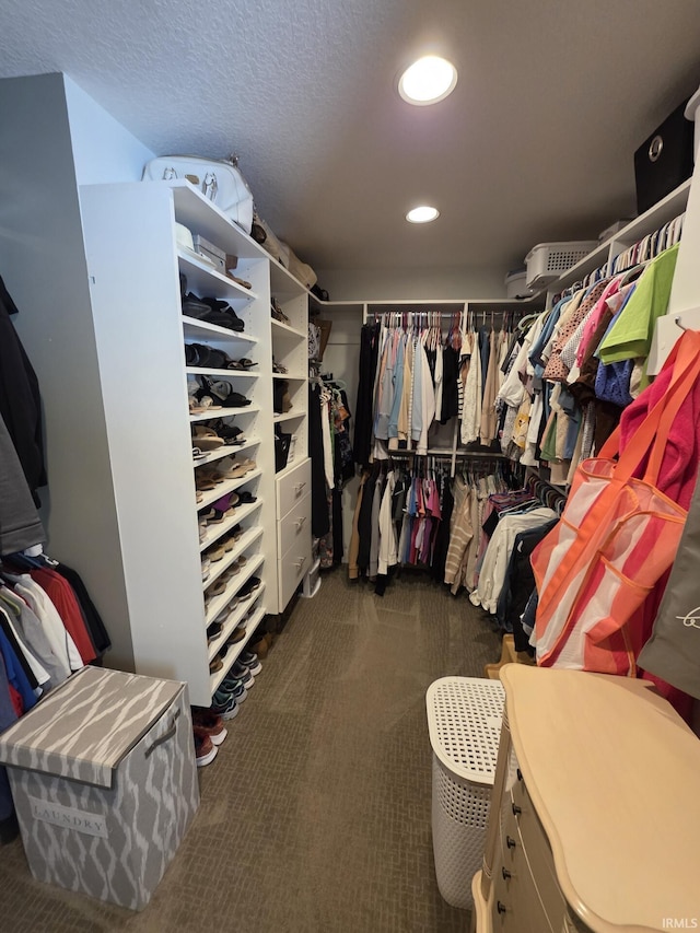 1051 Morningstar Rd, Auburn, IN 46706 - spacious closet with carpet floors