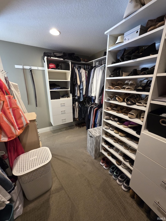 1051 Morningstar Rd, Auburn, IN 46706 - walk in closet with carpet floors