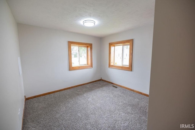3529 S Walnut St, Muncie, IN 47304 - empty room with healthy amount of natural light, carpet floors, and a textured ceiling