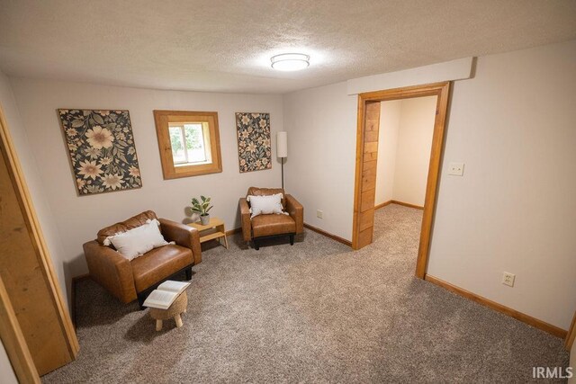 3529 S Walnut St, Muncie, IN 47304 - living area with a textured ceiling and carpet flooring