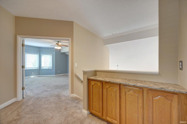 9109 S Front Nine Dr, Bloomington, IN 47401 - hallway featuring light colored carpet and vaulted ceiling