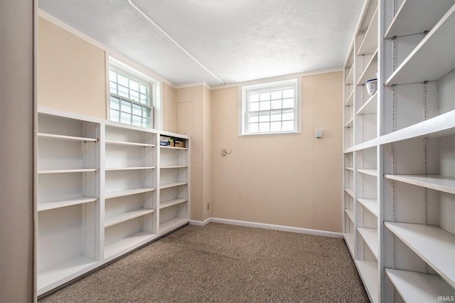 1730 Oak Park Dr, South Bend, IN 46617 - view of storage