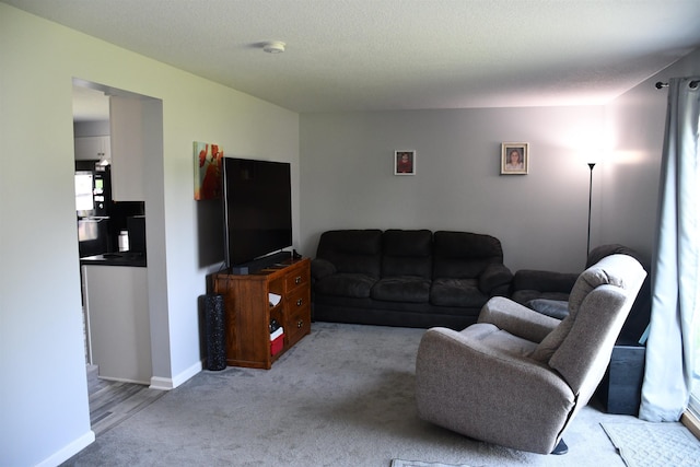 822 Aurora Knoll Ln, Fort Wayne, IN 46825 - living area featuring carpet flooring and baseboards
