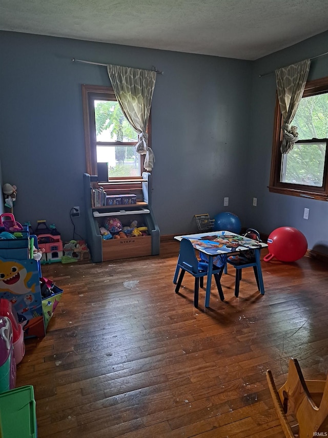 622 S Market St, Winamac, IN 46996 - rec room featuring healthy amount of natural light and wood-type flooring
