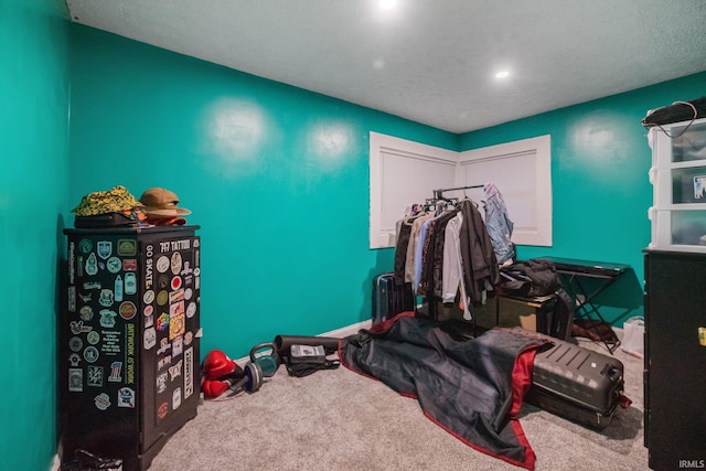 919 S 18th St, Lafayette, IN 47905 - misc room with carpet flooring and recessed lighting