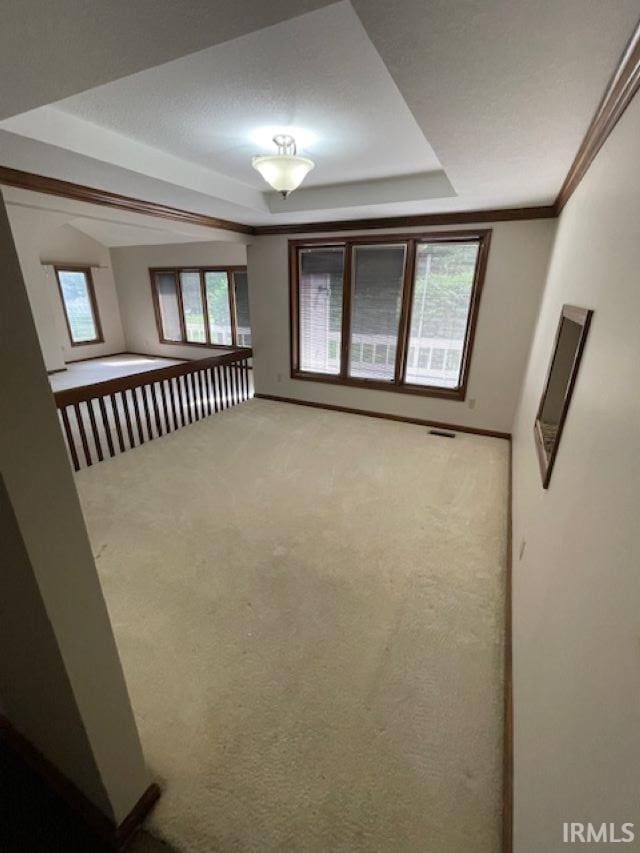 7030 Windshire Dr, Fort Wayne, IN 46814 - spare room with a raised ceiling and light carpet