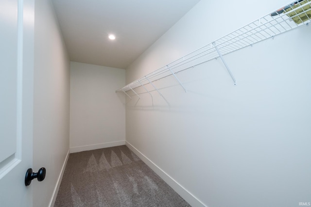 305 Hill Top Ct, New Carlisle, IN 46552 - spacious closet with carpet floors