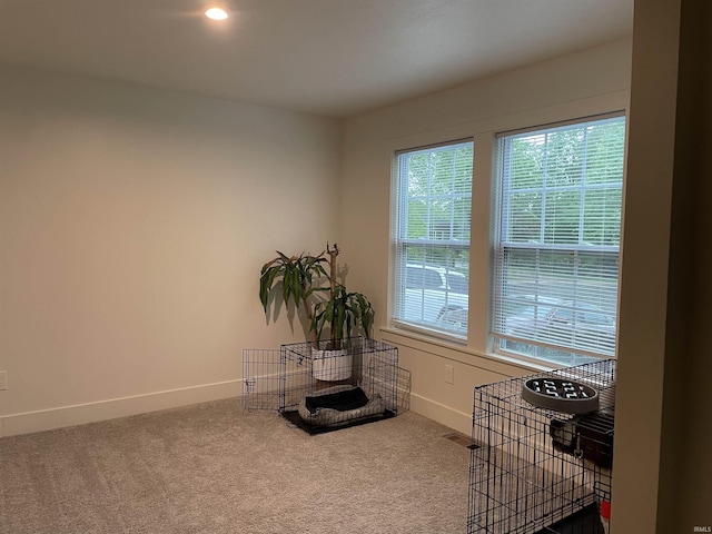 305 Hill Top Ct, New Carlisle, IN 46552 - miscellaneous room with carpet floors and recessed lighting