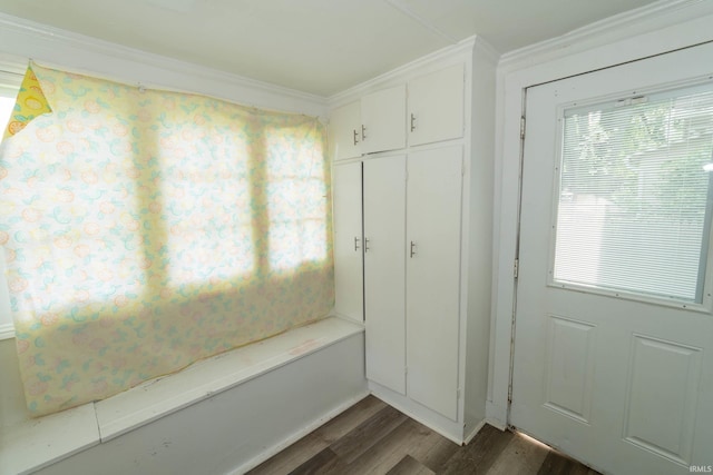 1722 Nash St, South Bend, IN 46613 - mudroom with dark wood-style flooring, ornamental molding, and plenty of natural light