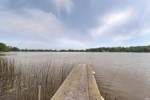 1385 S 460 E, Lagrange, IN 46761 - water view with a boat dock