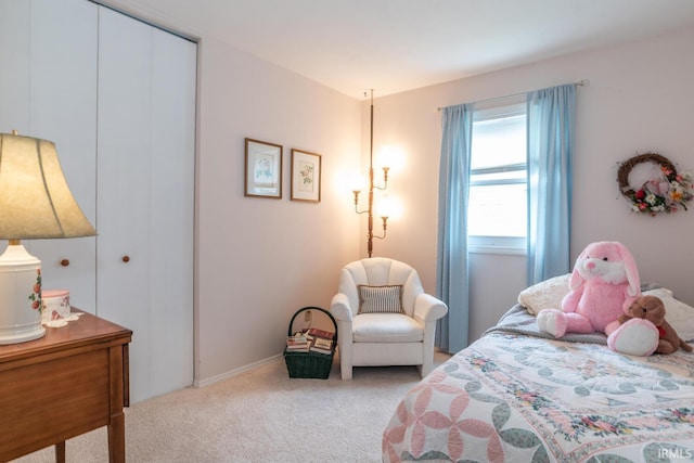 4525 W Middle Ct, Bloomington, IN 47403 - bedroom with carpet floors and a closet