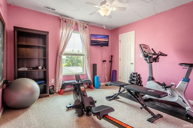 297 Indigo St, Lafayette, IN 47909 - workout room with a ceiling fan and carpet floors
