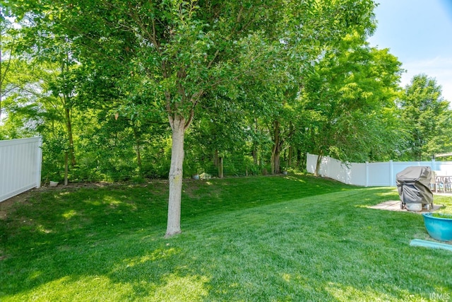 297 Indigo St, Lafayette, IN 47909 - view of yard