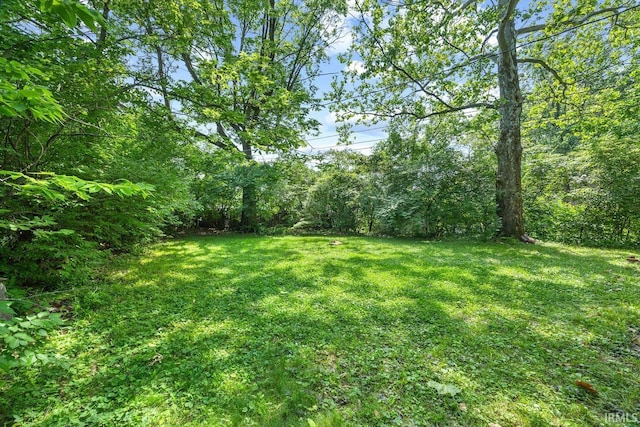 309 Highland Dr, West Lafayette, IN 47906 - view of green lawn