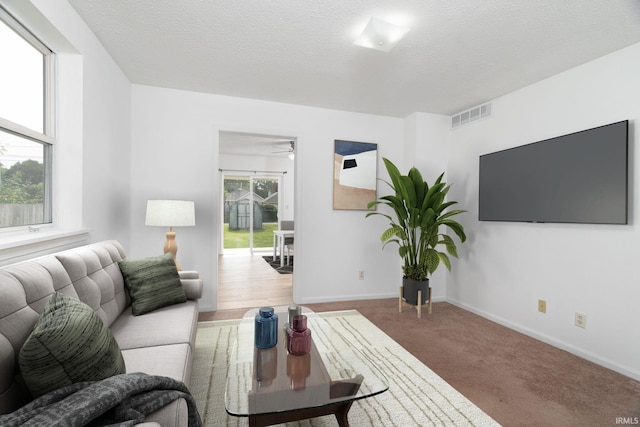 115 S 27th St, Lafayette, IN 47904 - carpeted living room with ceiling fan and a textured ceiling
