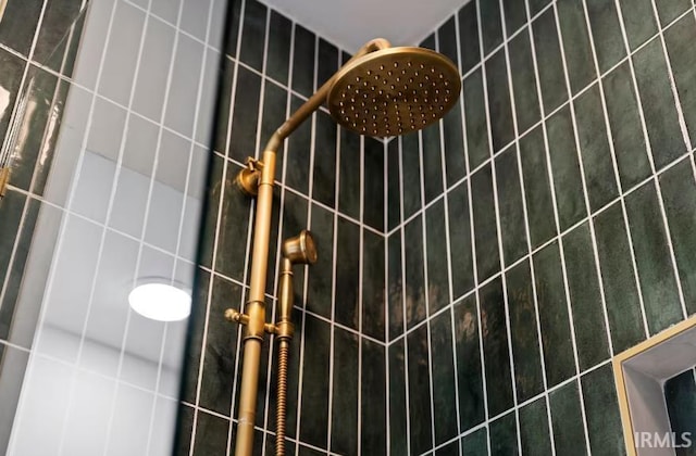52354 Forestbrook Ave, South Bend, IN 46637 - bathroom view of tiled shower