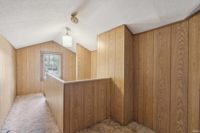 317 N Sunnyside Ave, South Bend, IN 46617 - bonus room with light carpet, wood walls, a textured ceiling, and vaulted ceiling