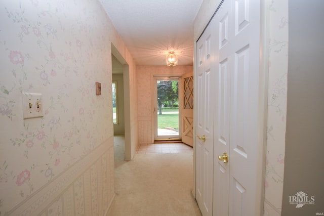 3209 E Kendall Ln, Muncie, IN 47303 - hall with light carpet