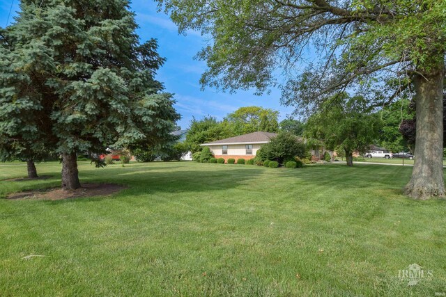 3209 E Kendall Ln, Muncie, IN 47303 - view of green lawn