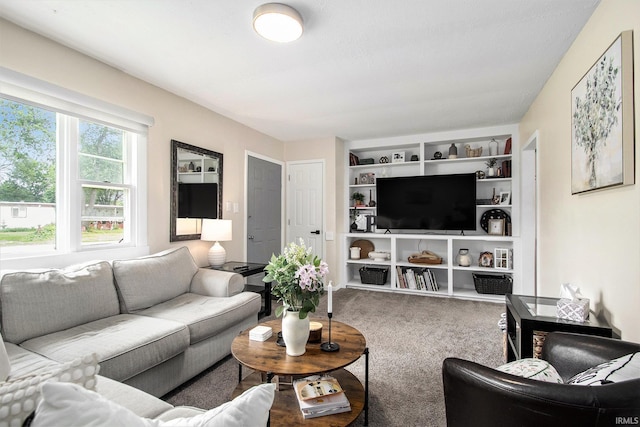 2734 Hawthorne St, Elkhart, IN 46517 - living area with carpet and built in shelves
