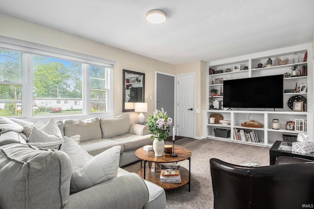 2734 Hawthorne St, Elkhart, IN 46517 - living area with carpet and built in features