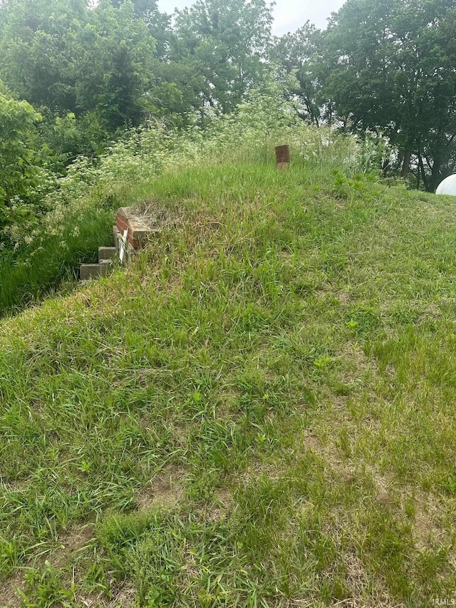 5164 E 325 N, Logansport, IN 46947 - view of yard