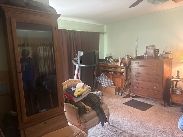 5164 E 325 N, Logansport, IN 46947 - bedroom with carpet, a ceiling fan, and ornamental molding