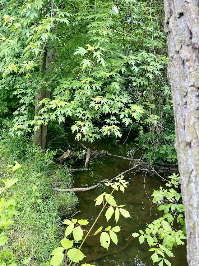 210 Gladstone Dr, Wabash, IN 46992 - view of local wilderness