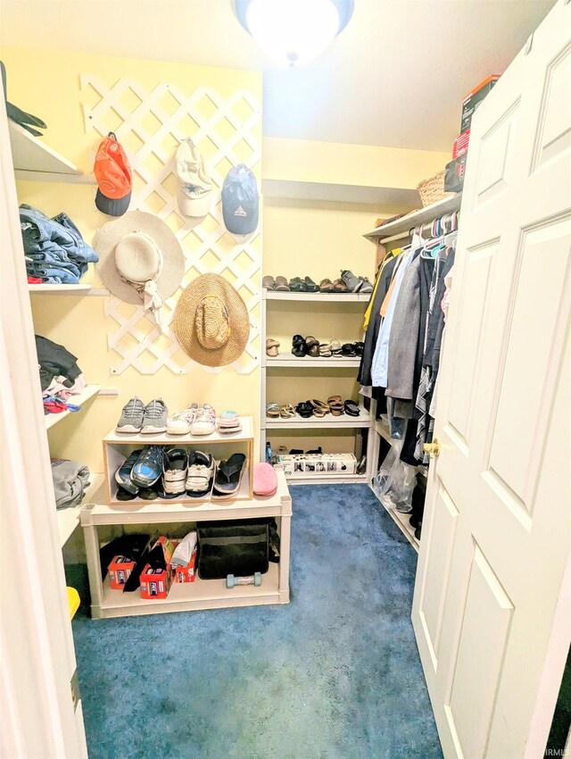 11497 N Biscayne Ln, Cromwell, IN 46732 - walk in closet featuring dark colored carpet