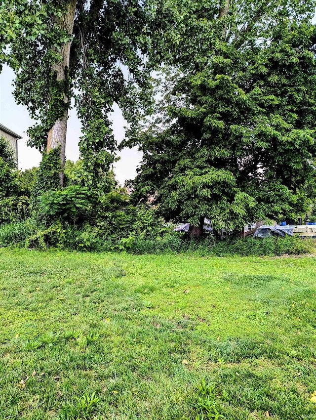 11497 N Biscayne Ln, Cromwell, IN 46732 - view of green lawn