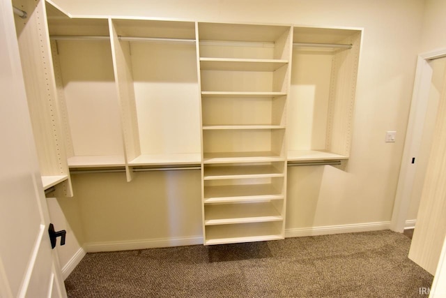 146 Hayloft Dr, West Lafayette, IN 47906 - spacious closet featuring carpet floors