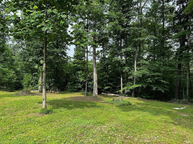 13687 E Ivan Ct, Bloomington, IN 47403 - view of green lawn featuring a wooded view