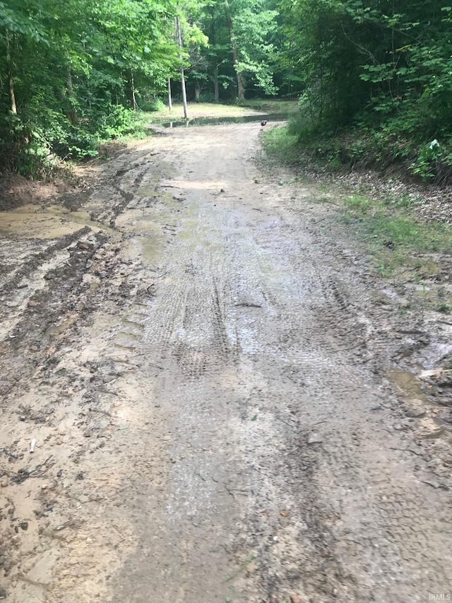 13687 E Ivan Ct, Bloomington, IN 47403 - view of dirt / gravel road featuring a forest view