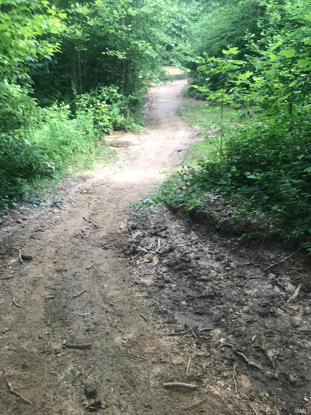 13687 E Ivan Ct, Bloomington, IN 47403 - view of local wilderness