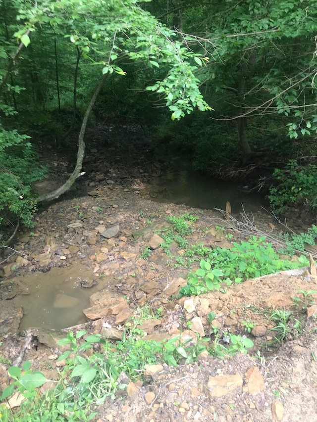 13687 E Ivan Ct, Bloomington, IN 47403 - view of nature