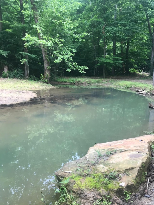 13687 E Ivan Ct, Bloomington, IN 47403 - water view with a forest